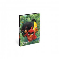 Angry Birds Agenda 12X17 1J/P