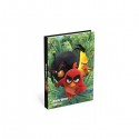 Angry Birds Agenda 12X17 1J/P