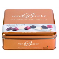 Vandenb.Bte Met.Pralines 480G