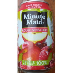 Bte 33Cl Fruits Rouges Minut Maid