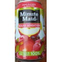 Bte 33Cl Fruits Rouges Minut Maid