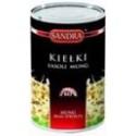 Canned Vegetables Mung Beans Sprouts 425Ml