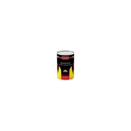 Canned Fruits Mango 425Ml