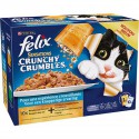 10X100G Crunchy Poissons Felix