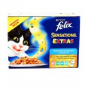 Felix Extras Poisson 12X100G