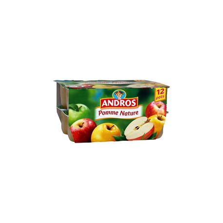 Andros Dessert Fruitier Pomme 12X100G