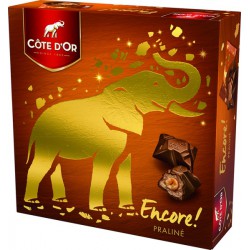 Cote D Or Encore Praline 158G