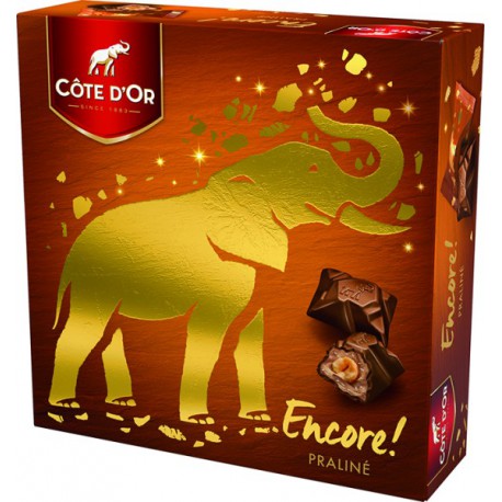 Cote D Or Encore Praline 158G