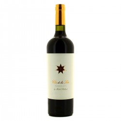 Argentine Rge 2013 Clos Siete