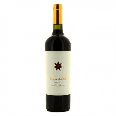 Argentine Rge 2013 Clos Siete