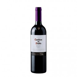 Chili Rg Casillero Merl 15 75