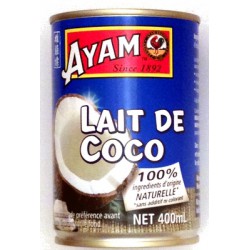 Ayam Lait Noix Coco 400Ml
