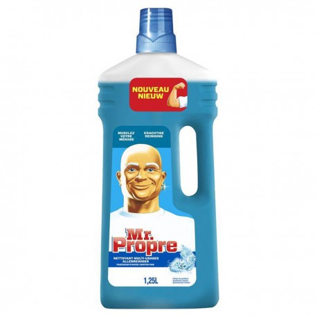 Mr Propre Fraicheur Hiver 1L25